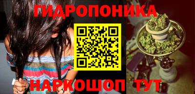 jwh Шахты
