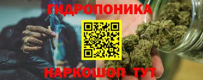 амф Шелехов