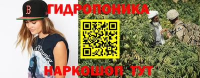 амф Шелехов